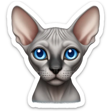 grey sphynx cat with blue eyes and black nose sticker