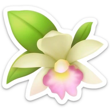 Vanilla with bloom sticker
