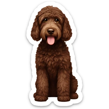Chocolate Labradoodle sitting  sticker