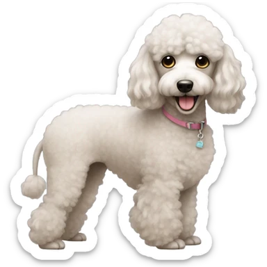 cute poodle sticker