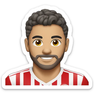 Wydad athletic club sticker