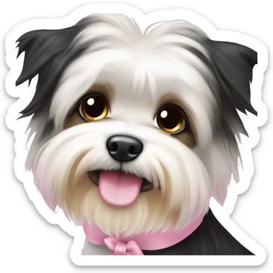 black and white Biewer Terrier with pink bow sticker