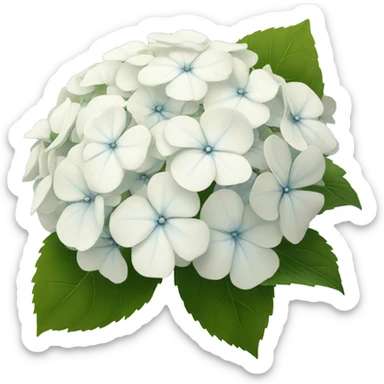 white hydrangea flower sticker