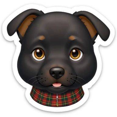 Medium size black dog with pointed face tartan collar sticker