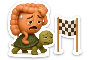  EMOJI STILE IPHONE 3D DI UN INTESTINO CON ESPRESSIONE ANGOSCIATA CHE CAMMINA SUL GUSCIO DI UNA TARTARUGA IN ATTESA ESTENUANTE DI RAGGIUNGERE UN TRAGUARDO POCO PIù AVANTI, SULLA LORO DESTRA. IL TRAGUARDO è UNA BANDIERA A DUE PIEDI CON FASCIA A SCACCHI BIANCHI E NERI. iperrealistico 4k sticker