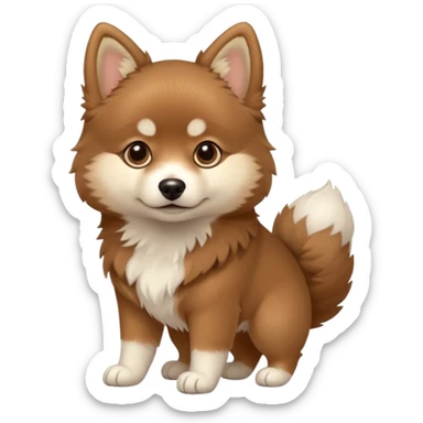 Brown Pomsky with white feet sticker