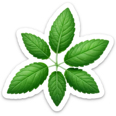 Peppermint (Mentha \(\times \) piperita)  sticker