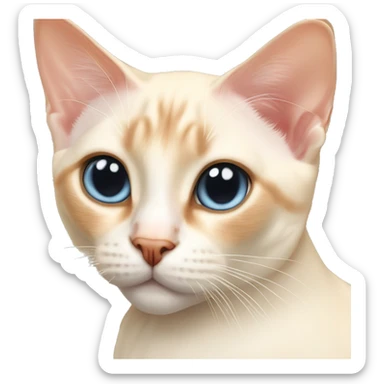 Flame point siamese sticker
