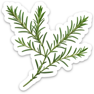 Cinematic Realistic Rosemary Emoji, Fragrant and fresh, with slender green stems covered in needle-like leaves, which release a distinctive herbal scent. The plant seems to exude energy, with soft sprigs of leaves stretching upwards. Soft glowing outline, capturing the essence of earthy healing and aromatic delight in a sprig of rosemary! sticker