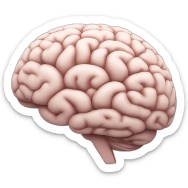 brain learning sticker