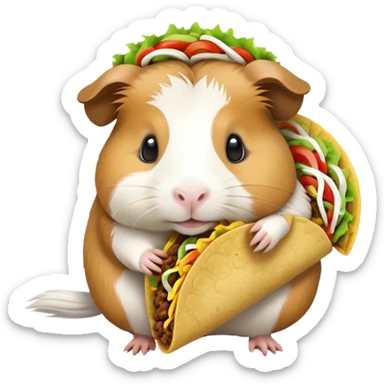guinea pig eating taco sticker
