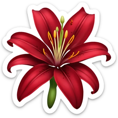 A lily flower in a dark cherry red colour sticker