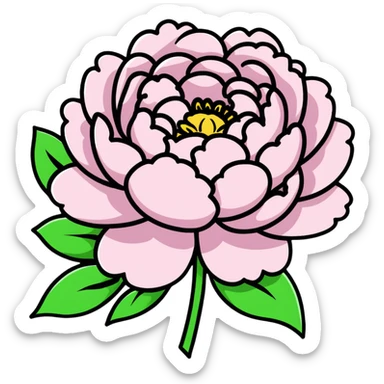 A blooming pink peony flower with ruffled petals sticker