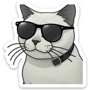 cat wearing sunglasses sticker