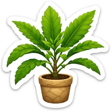 ginger plant sticker