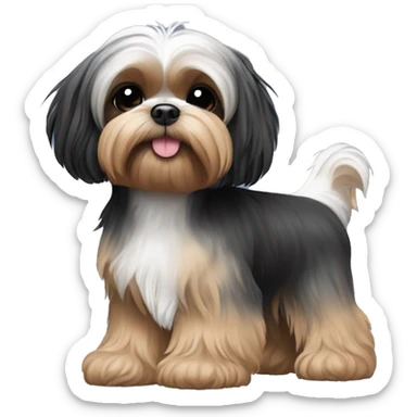 Shih tzu black puppy, yorkie coloring with light eyebrows  sticker