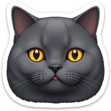 black British shorthair cat sticker
