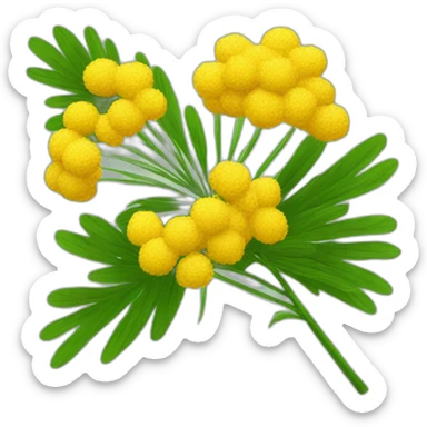 mimosa FLOWER sticker
