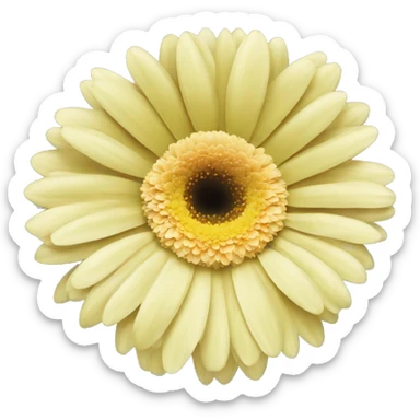 light yellow one flower gerbera sticker