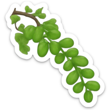vine sticker