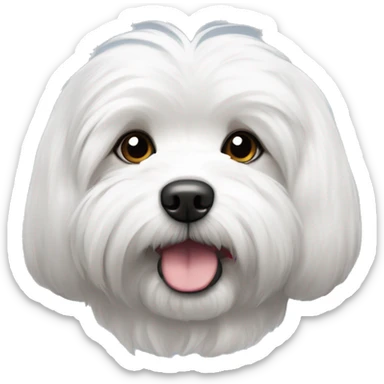 Coton de tulear avec oreille brune and grises sticker