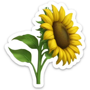 sunflower sticker