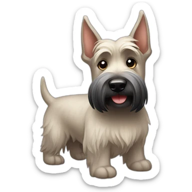 Scottish terrier bum sticker