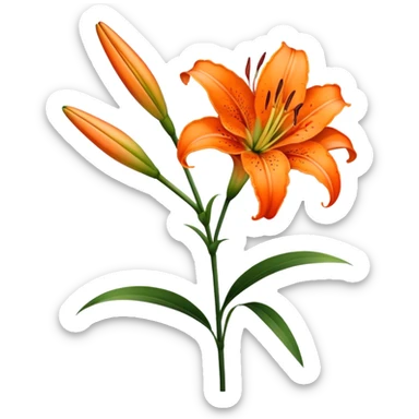 single Bright Orange Oriental Lily, straight stem sticker