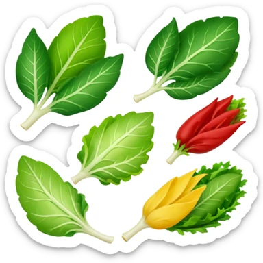 different salad leaves different colors  sticker
