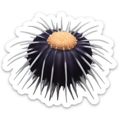 Black realistic sea urchin with long spikes sticker
