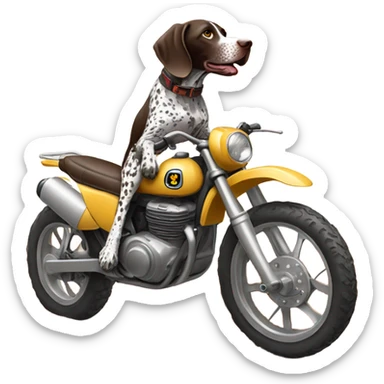 German shorthair pointer on a dirt bike sticker