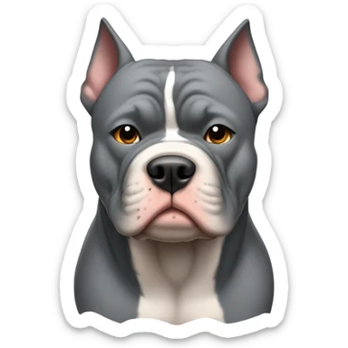 American bully grey  sticker