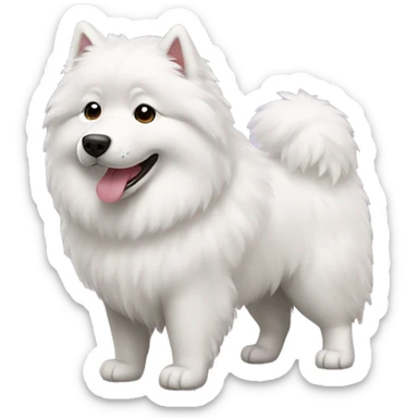 Samoyed  sticker