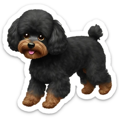 Black Yorkipoodle levitating  sticker