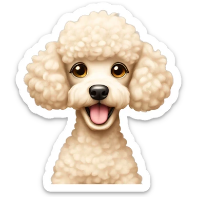 adorable cream-coloured poodle ￼ sticker