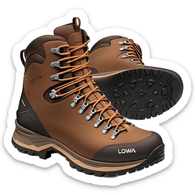Lowa hiking boot GTX Cephyr, brown leather with Gore-Tex sticker