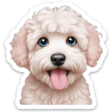 blue eyed pink nose maltipoo sticker