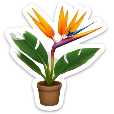 Bird of paradise plant sticker