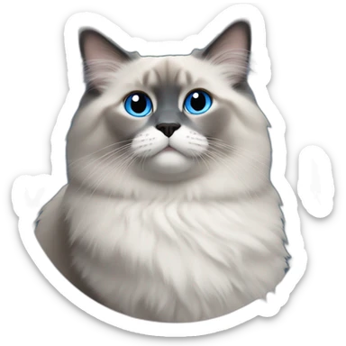 Blue mitted ragdoll with Pepsi sticker