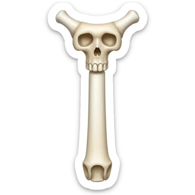 femur sticker