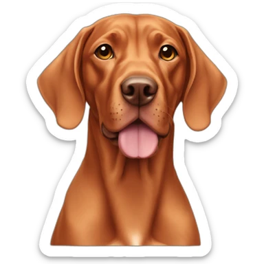 Vizsla sticker