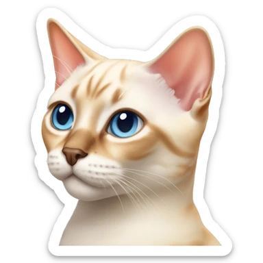 flame point Siamese cat sticker