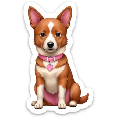 Australian red heeler dog sitting down facing forward, with a pink collar around neck sticker
