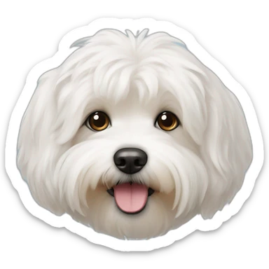 Bichon Havanese dog head sticker