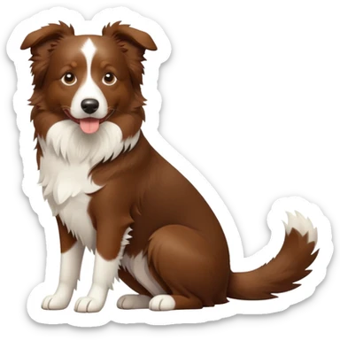 Brown Border Collie sitting sticker