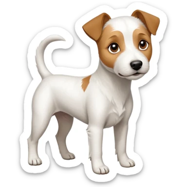 a full body white parson russell looking dog the size of a kelpie with light brown ears and a light brown patch on one eye and a large snout sticker