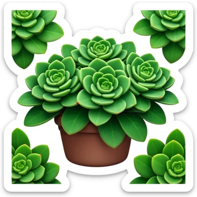 Cinematic Realistic Crassula Emoji, Compact and vibrant, with small, fleshy leaves arranged in thick, rounded clusters. The deep green hue of the leaves radiates calm, while their structured growth speaks of endurance. Soft glowing outline, capturing the essence of perseverance and tranquility in a crassula plant! sticker