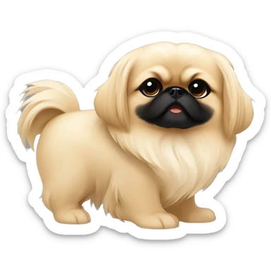 light beige pekingese with a black muzzle, hugged by a blonde girl with long hair sticker