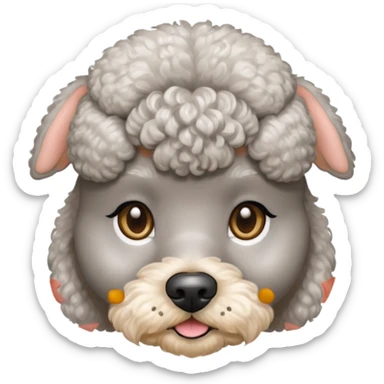 gray miniature poodle face with puppy cut and no earings sticker