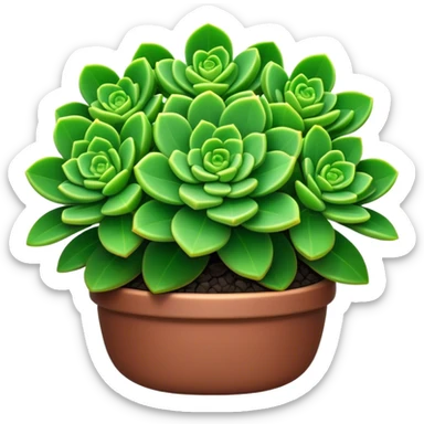 Cinematic Realistic Crassula Emoji, Compact and vibrant, with small, fleshy leaves arranged in thick, rounded clusters. The deep green hue of the leaves radiates calm, while their structured growth speaks of endurance. Soft glowing outline, capturing the essence of perseverance and tranquility in a crassula plant! sticker